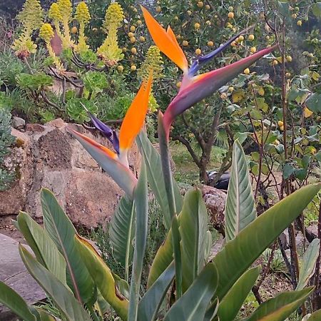 Villa Boheme Costa Brava Calonge  Bagian luar foto