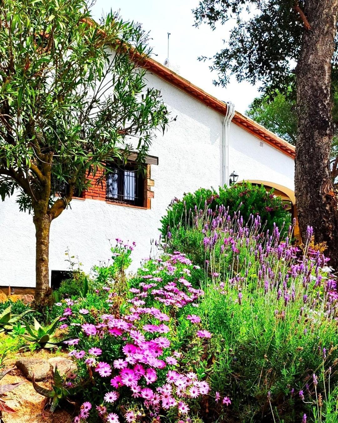 Villa Boheme Costa Brava Calonge  Bagian luar foto